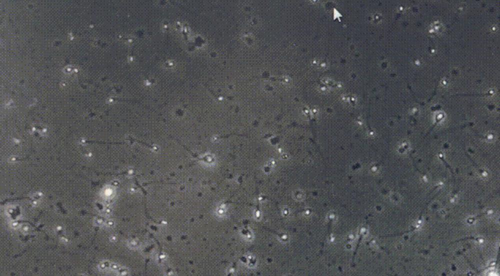 截屏2023-02-13 18.26.51.png