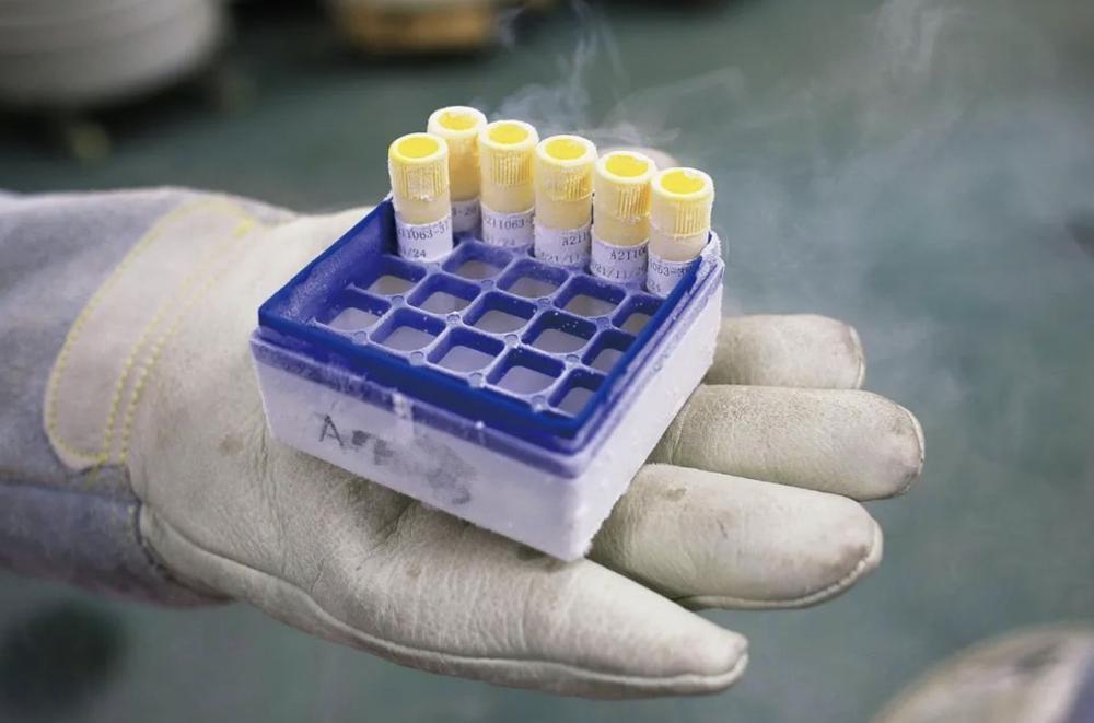 截屏2023-02-13 18.26.24.png