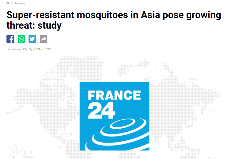 国外发现传播登革热的伊蚊有1000倍抗药性