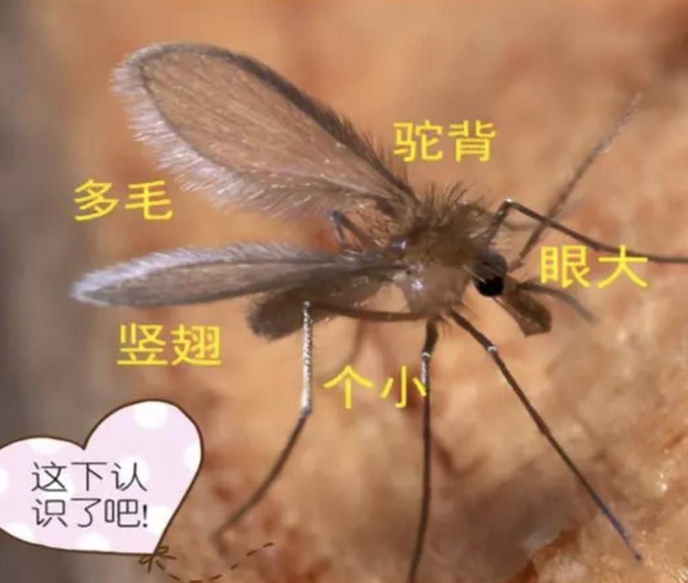 截屏2023-04-21 20.25.46.png