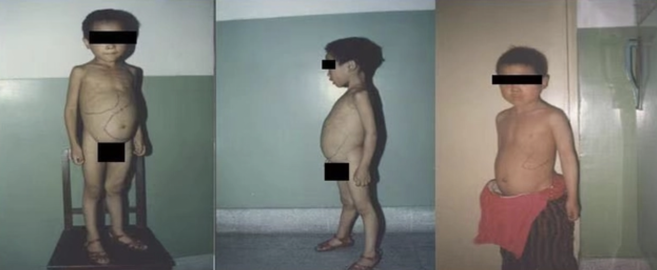 截屏2023-04-21 20.25.27.png