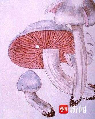 mmexport3e46b4bc39c9008fc7e74722d5b42466_1690943.jpeg mmexport3e46b4bc39c9008fc7e74722d5b42466_1690943.jpeg