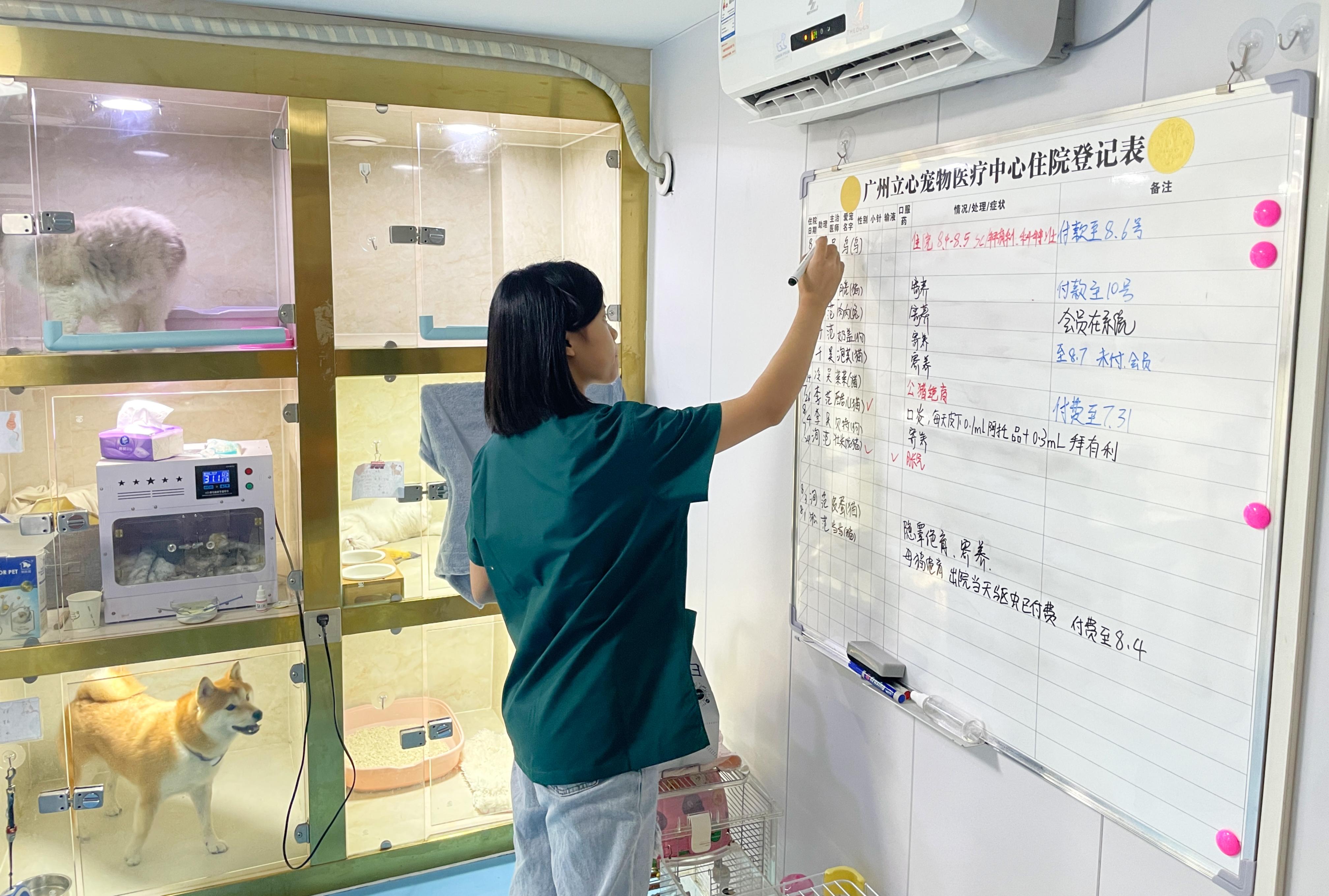 宠物医生正在填写住院登记表.jpg