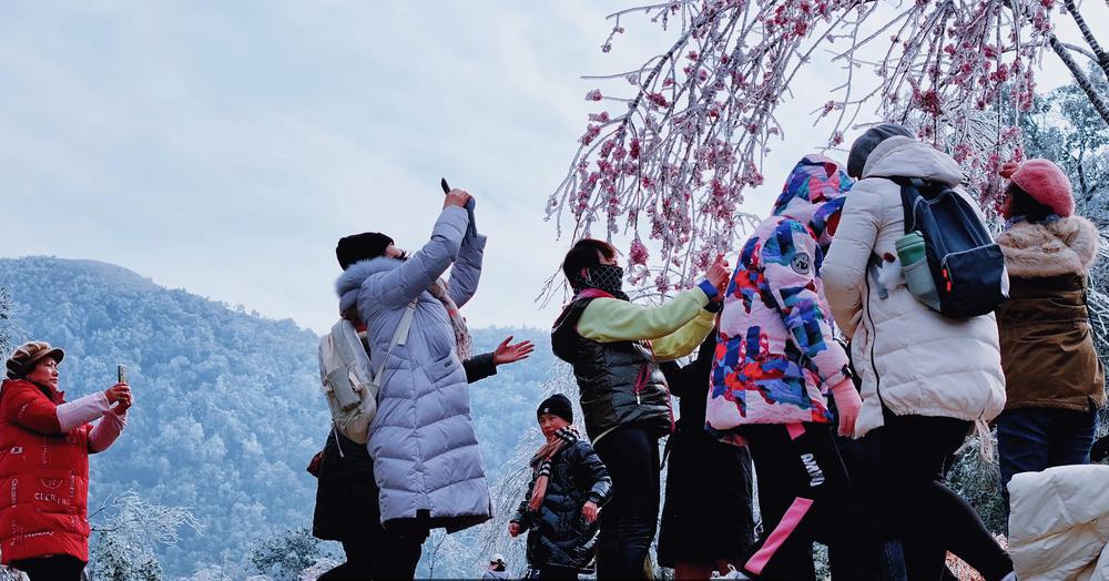 图6 五指山景区冰挂美景家喻户晓,吸引游(13305276)-20240131110759.png