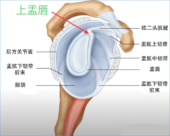 52855646_c6fd35c1-4c3e-4c8a-ad0b-8666d269b4f8copy.png