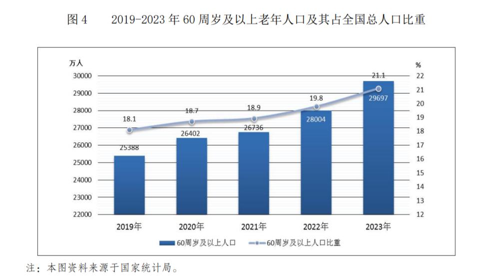 2024年60岁以上人口比例_2024年中国银发经济发展报告(2)