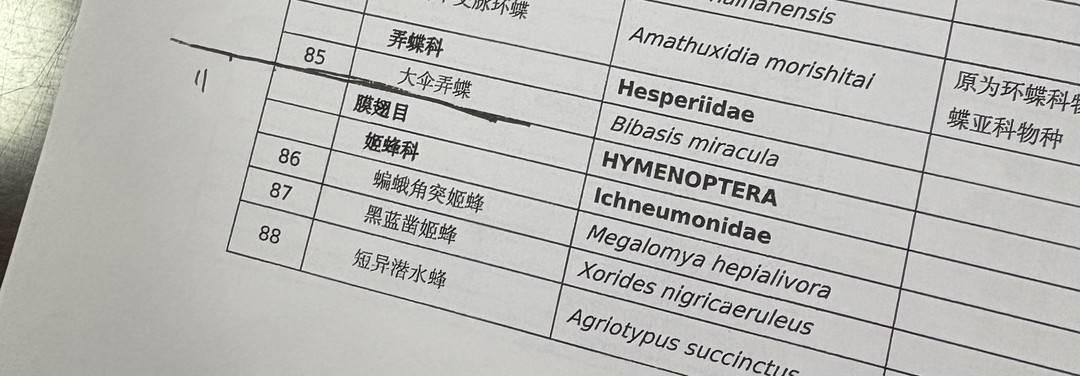 图片[3]-央视曝光“杀人蜂”滥养牟利引关注 当地回应：正联合调查虎头蜂养殖情况-上淘有品虚拟资源下载